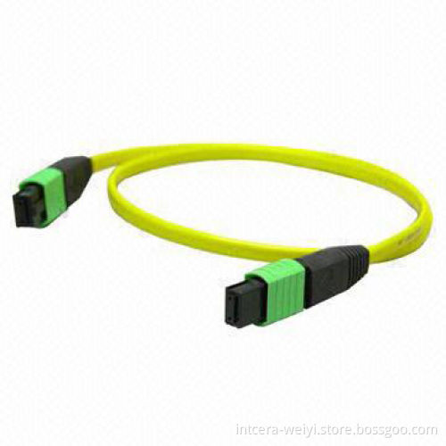 INT MPO Type Patchcord with high return loss and low insertion loss
